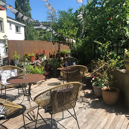 Sonnen Loft - *