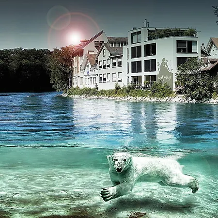 Sonnen Loft - Appartement